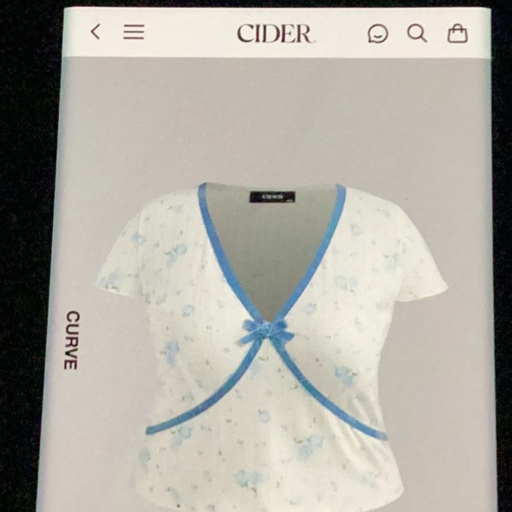 Cider Floral Baby Blue V-Neck Bowknot Top 4X